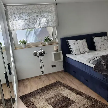 Apartment Zentrale Messe/ferien Whg Mit Garten & Parkplatz